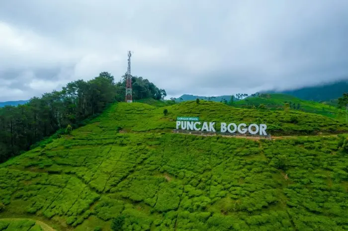 Best Natural Tourist Attractions in Bogor That You Must Visit for a Fun Vacation