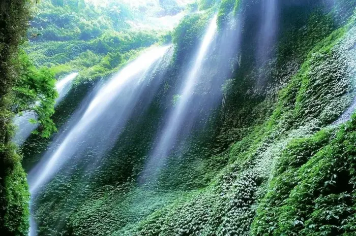 Top 12 Natural Tourist Attractions in Probolinggo From Mount Bromo to Gili Ketapang
