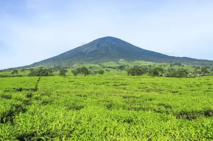 Trendy Tourist Destinations in South Sumatra for an Exciting Vacation