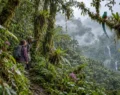 Advanced Conservation Travel Planning for Biodiversity Hotspots