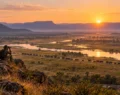 How Animal Movement Patterns Improve Wildlife Travel Planning