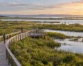 How Protected Areas Balance Visitor Access and Ecosystem Health
