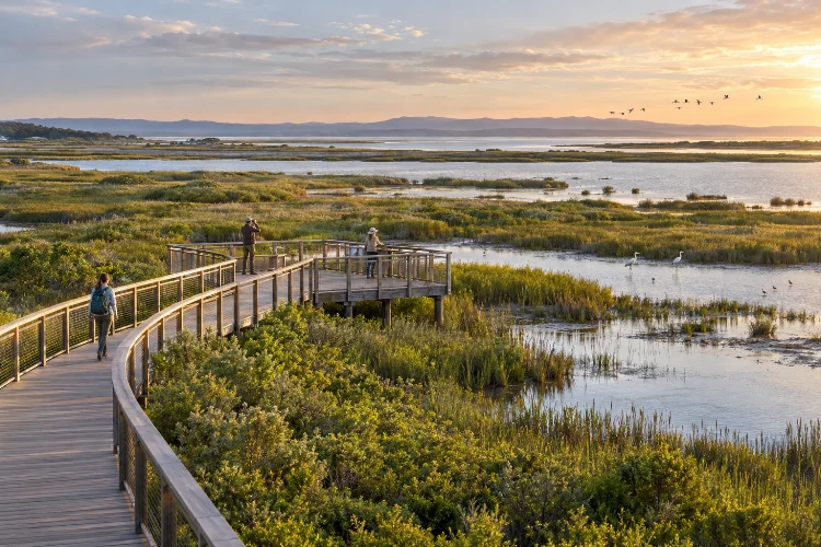 How Protected Areas Balance Visitor Access and Ecosystem Health
